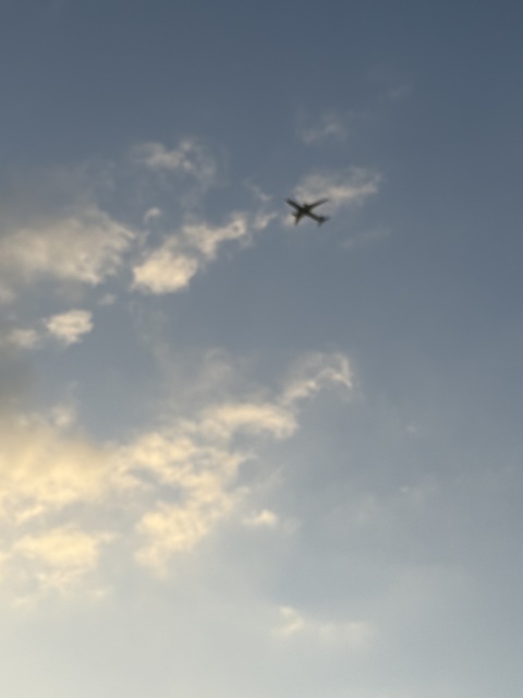 写メ