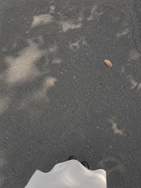 写メ