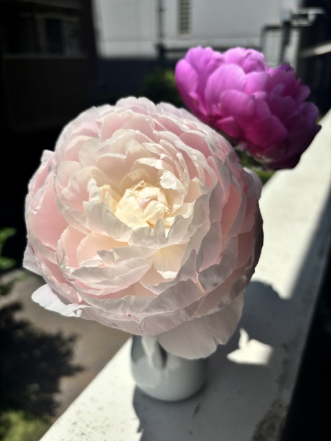写メ