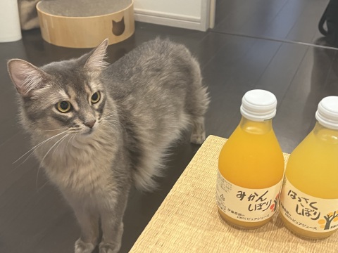 写メ
