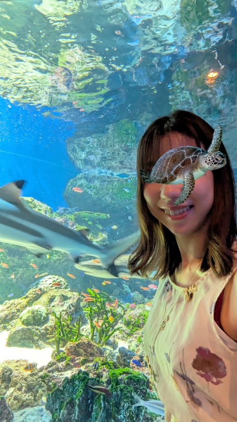 写メ