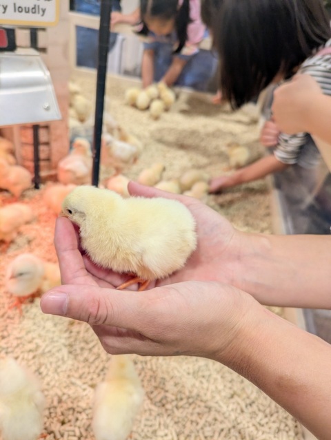写メ