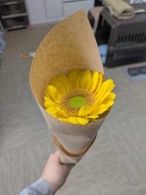 写メ
