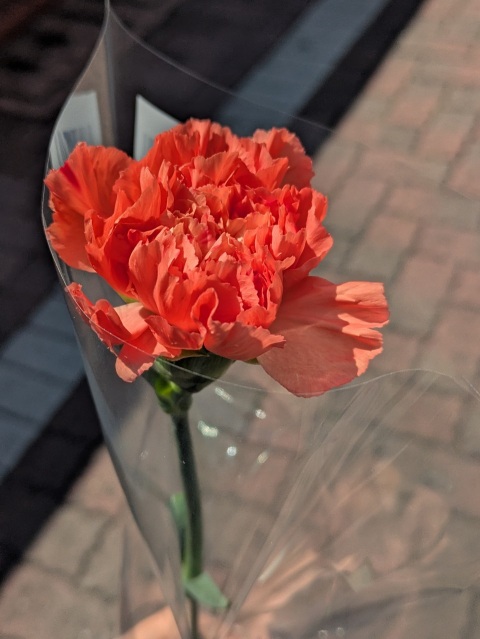 写メ