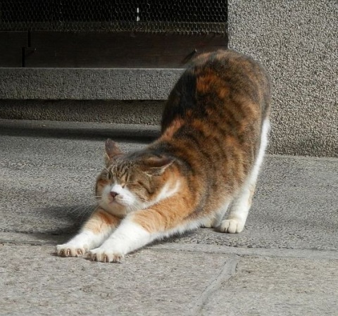 写メ