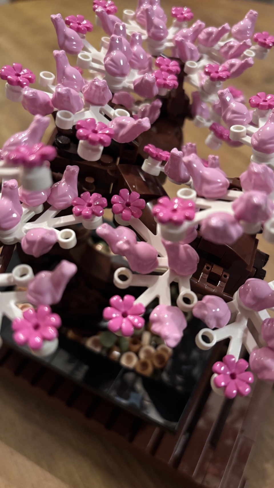 アップロード画像