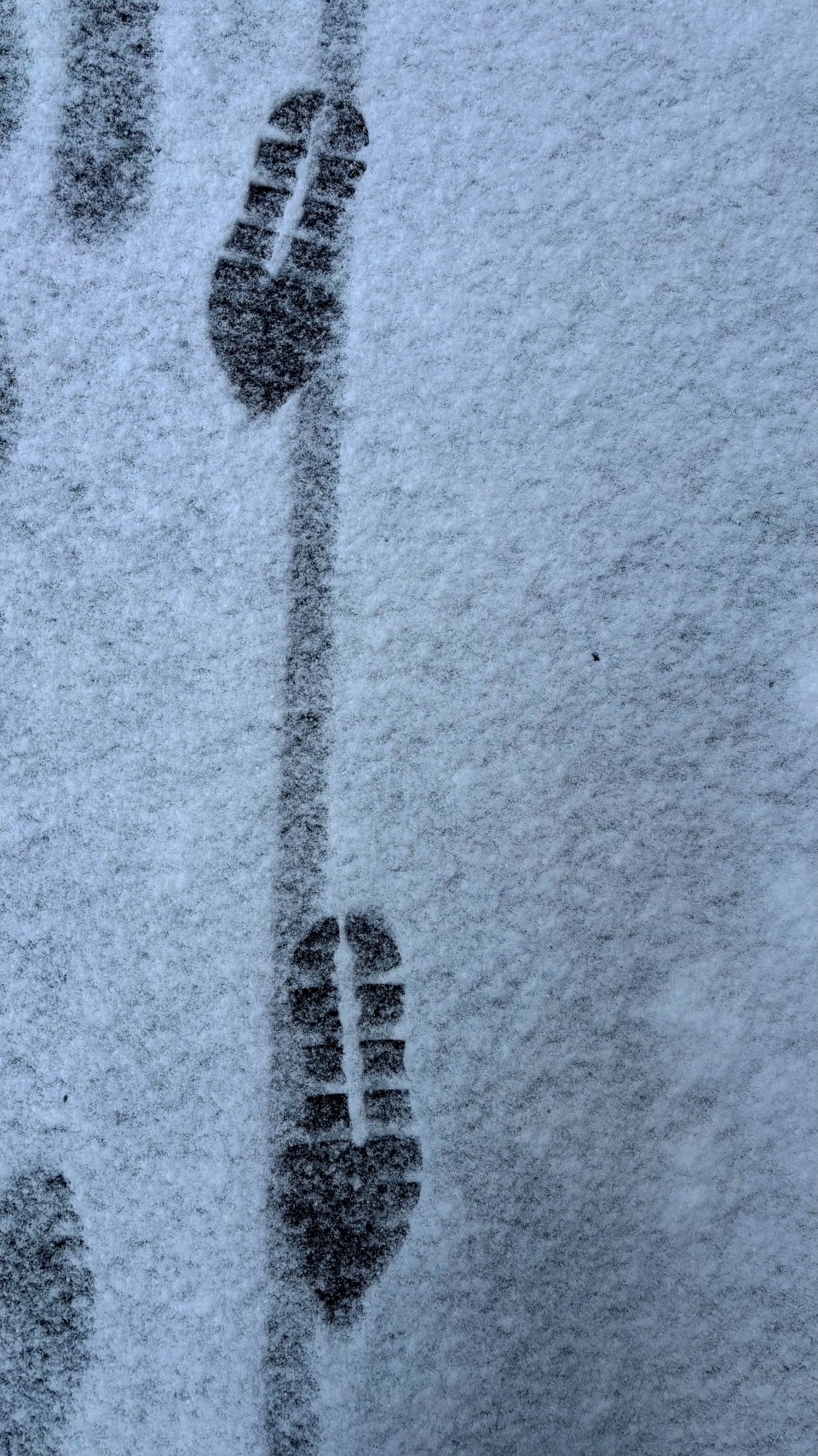 アップロード画像