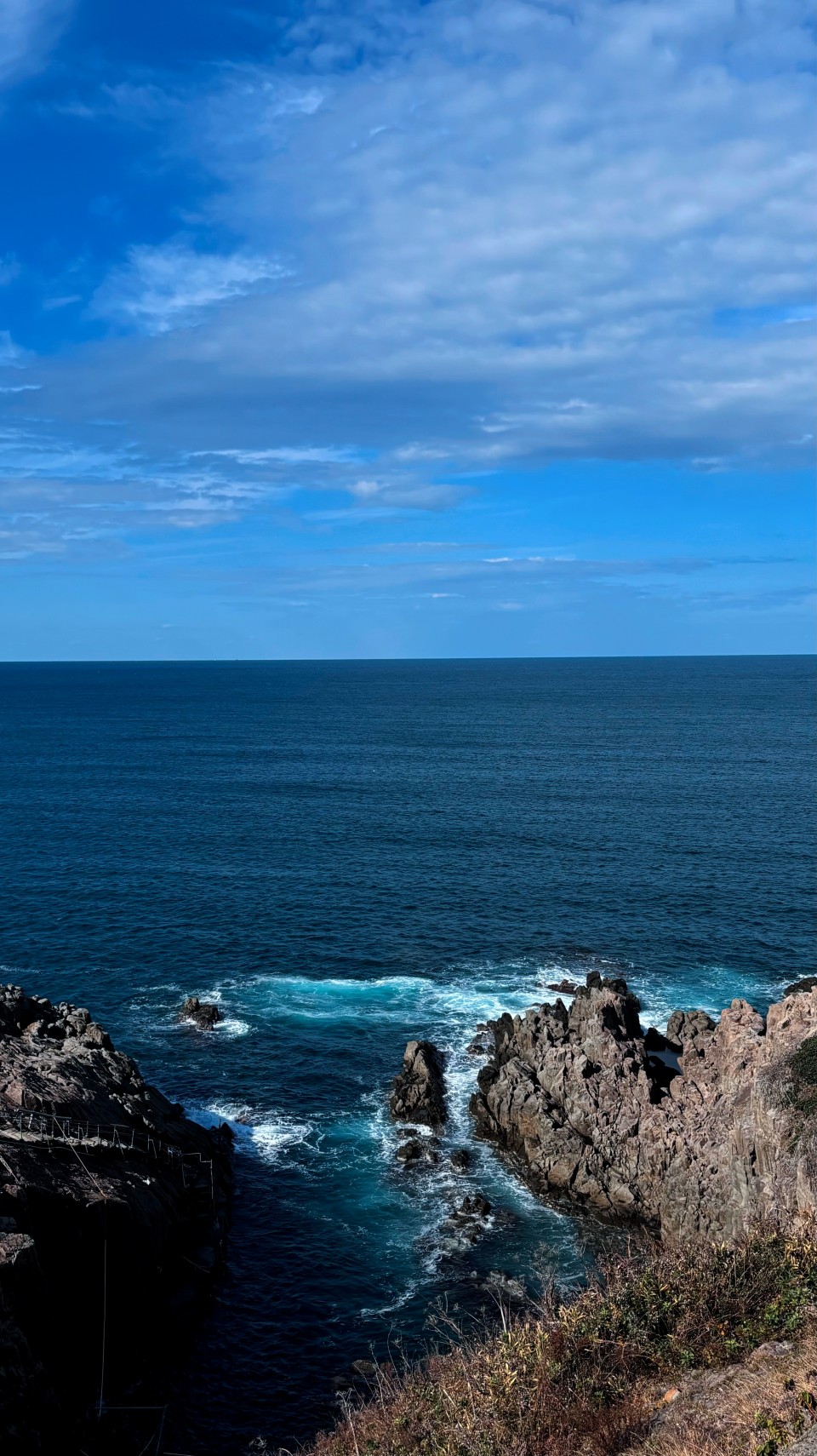 アップロード画像