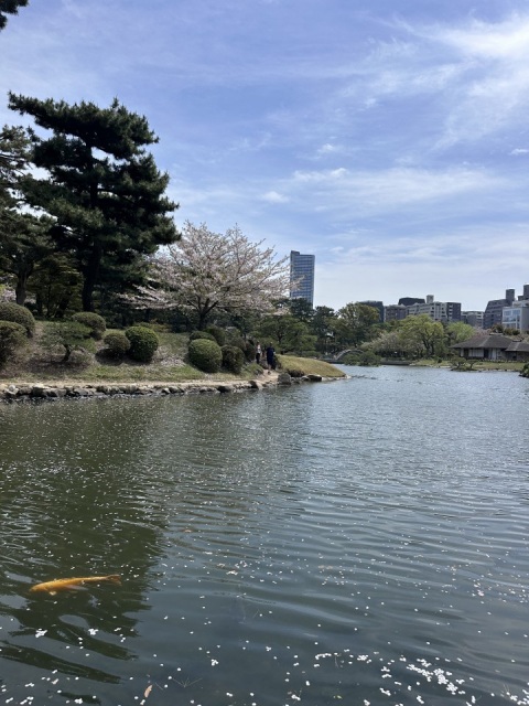 写メ
