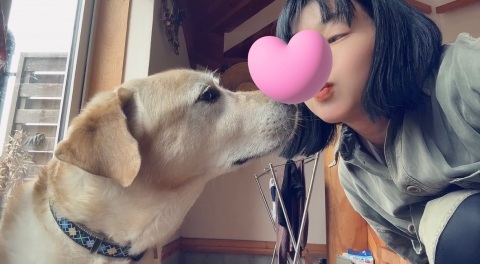 写メ